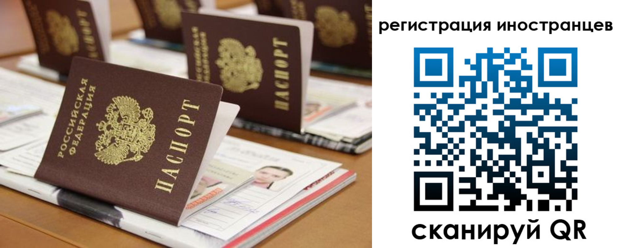 пропишу в квартире в Волгограде