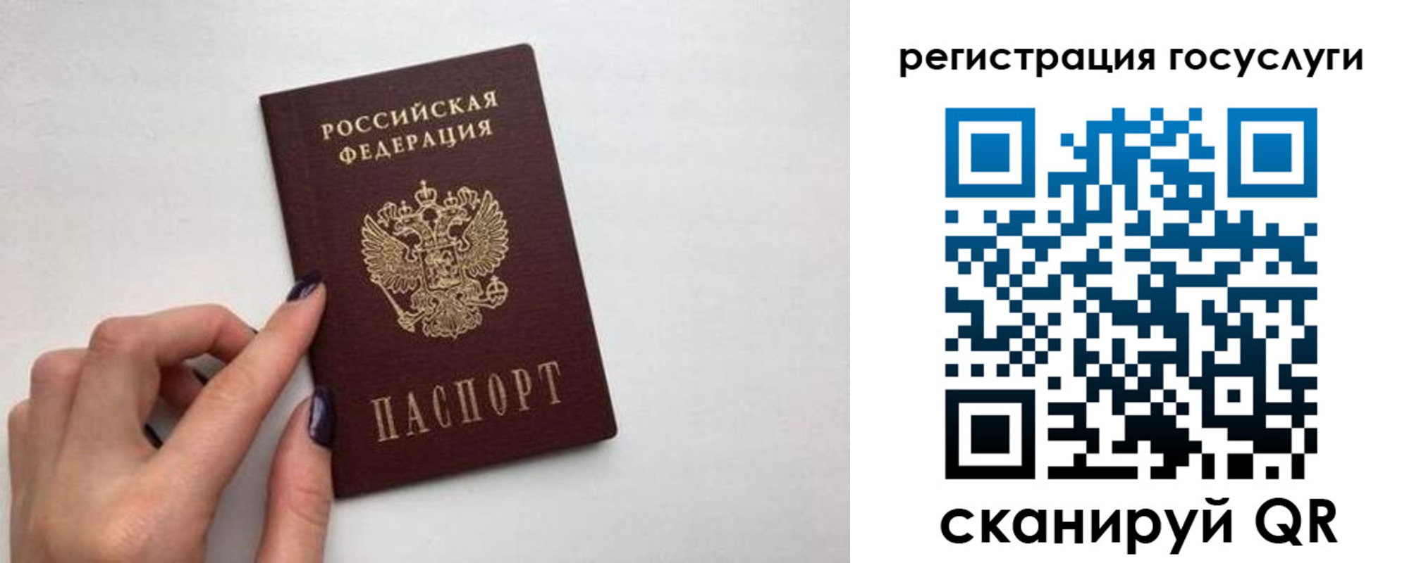 временная регистрация гарантия в Волгограде